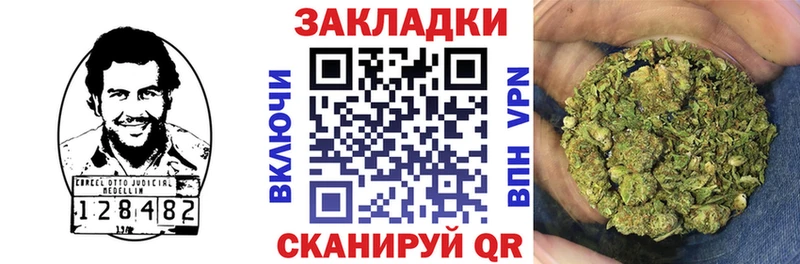 Где найти наркотики Брянск Псилоцибиновые грибы  Канабис  МЕФ  ГАШИШ  Кокаин  Alpha PVP 