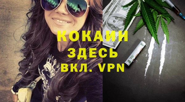 шишки Алексин