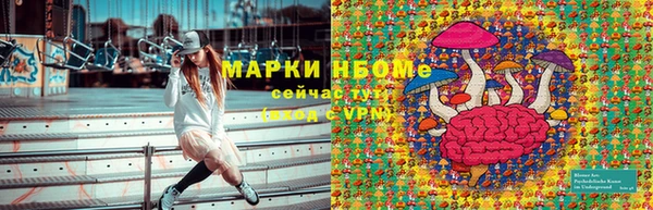 шишки Алексин
