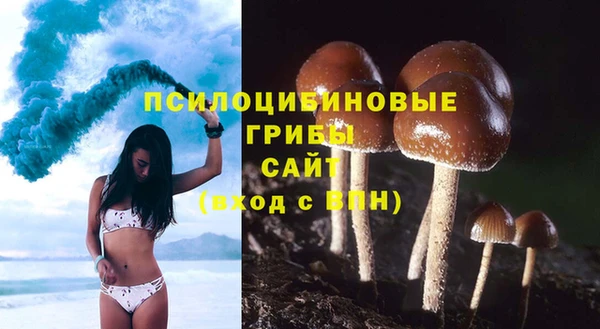 шишки Алексин