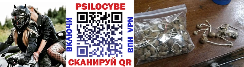 Псилоцибиновые грибы Psilocybine cubensis  наркотики  Брянск 